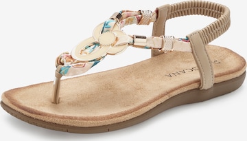LASCANA T-Bar Sandals in Beige: front