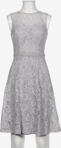 Dorothy Perkins Kleid XS in Grau: predná strana