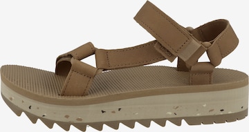 TEVA Wandelsandalen 'Universal Ceres' in Bruin