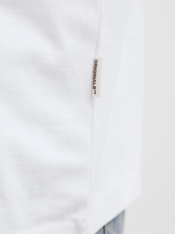 Jack & Jones Plus Shirt in White