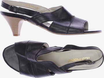 HUSH PUPPIES Sandals & High-Heeled Sandals in 38 in Black: front