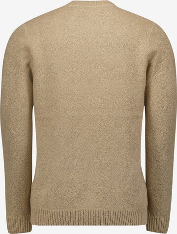 No Excess Pullover in Beige