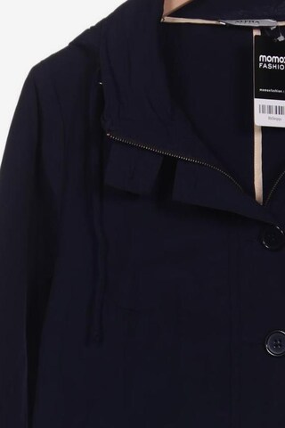 ALPHA INDUSTRIES Jacket & Coat in XXL in Blue