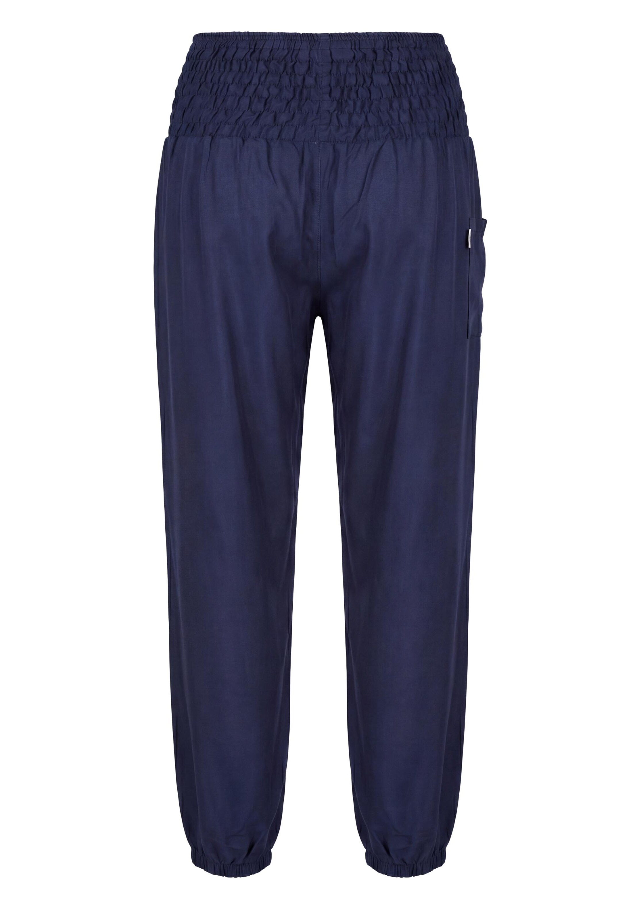 Paigh Loose fit Harem Pants in Blue