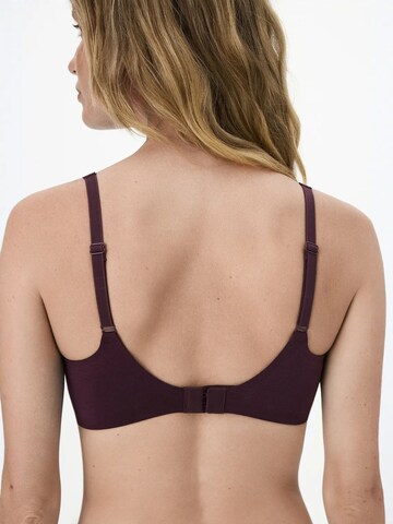 Classique Soutien-gorge 'BHs & Bralettes' Penti en violet