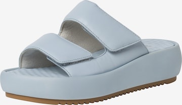 TAMARIS Mules in Blue: front