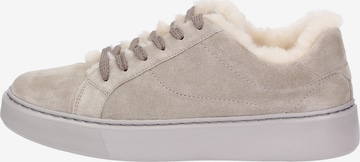 SIOUX Sneakers ' ils' in Grey