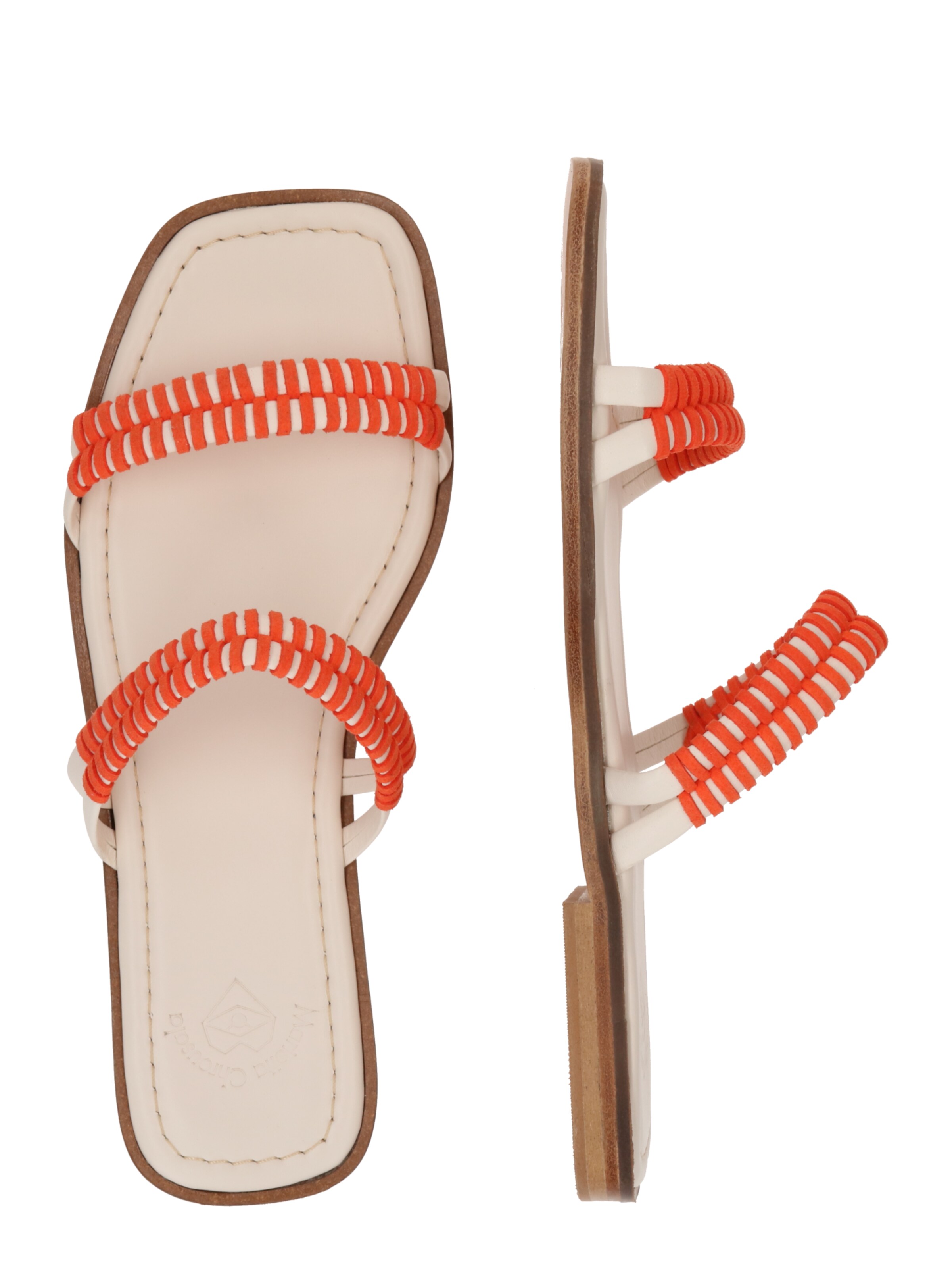 Mule 'Amelia' Marietta's Fantasy en blanc