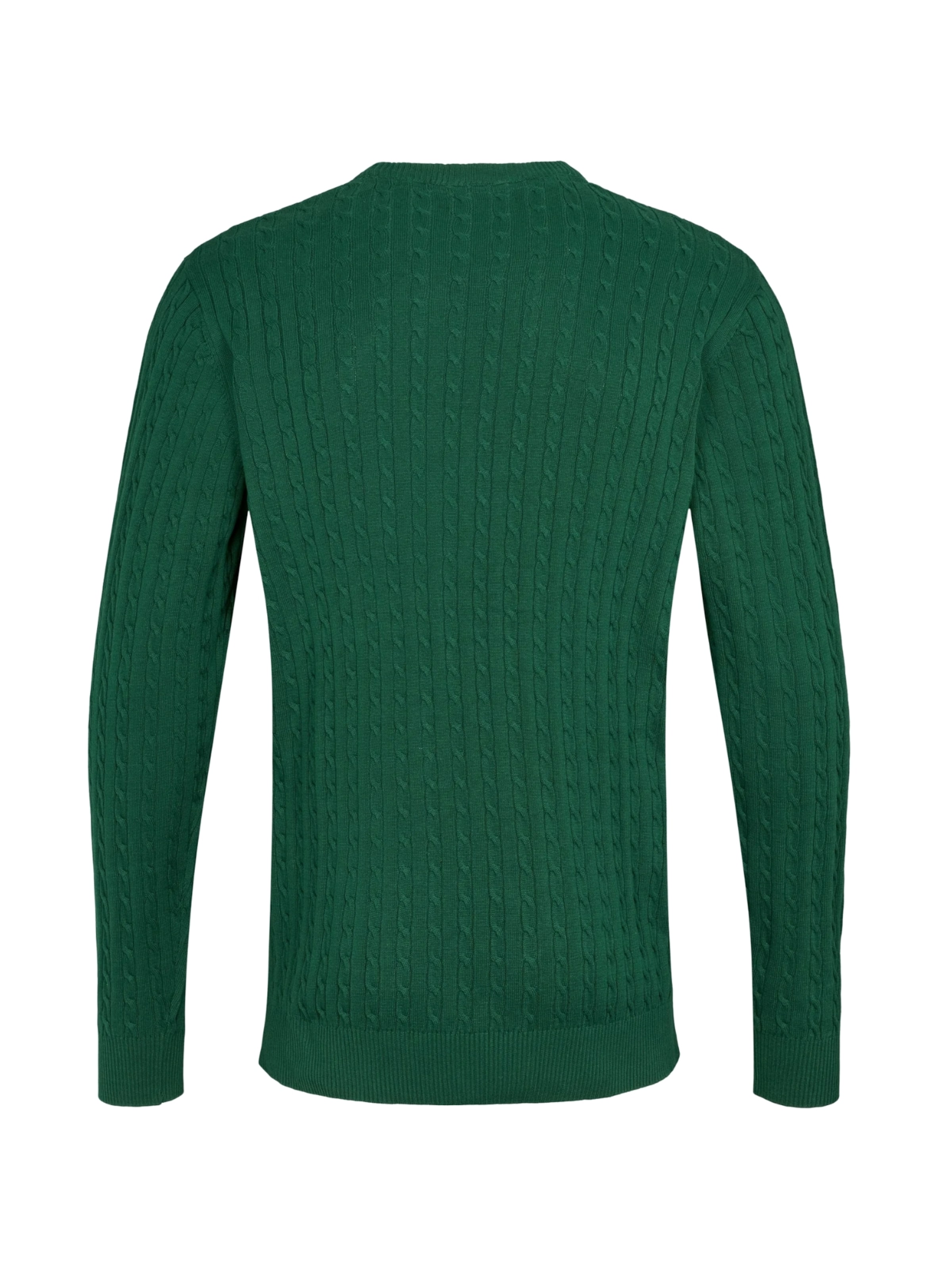 U.S. POLO ASSN. Pullover 'Mads' in Grün