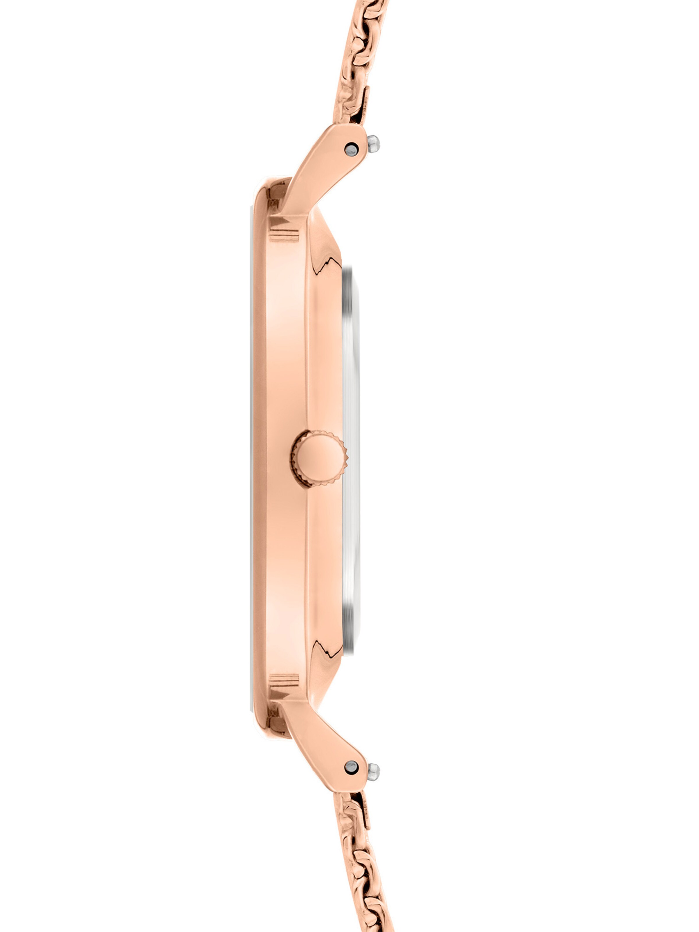 Liebeskind Berlin Analog Watch in Gold