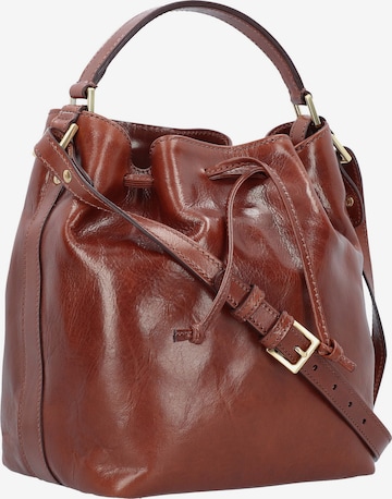 The Bridge Crossbody Bag 'Story Donna' in Brown