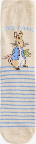 Chaussettes Next en beige : devant
