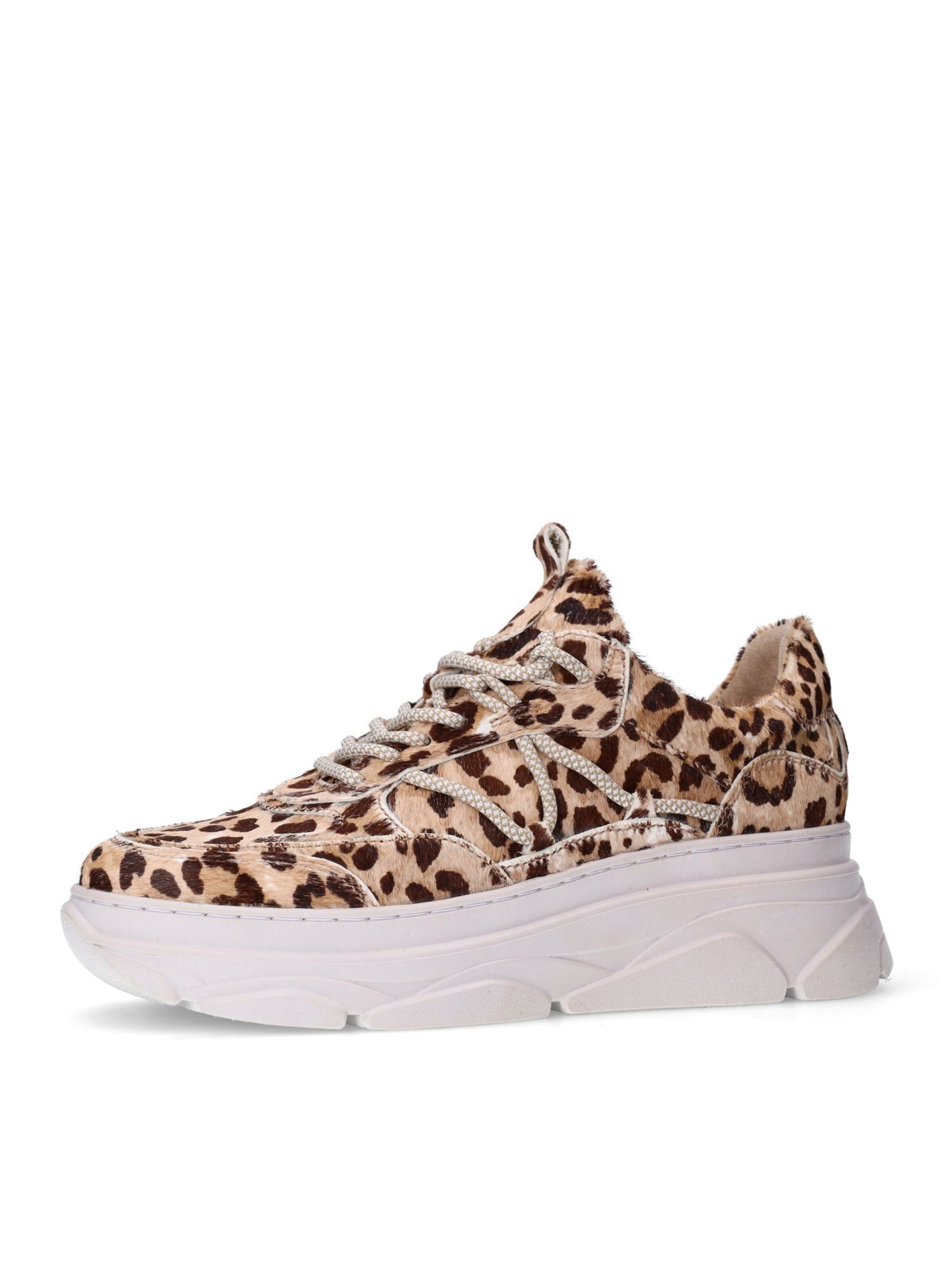SACHA Sneaker in Beige: Vorderseite