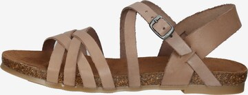COSMOS COMFORT Strap Sandals in Beige