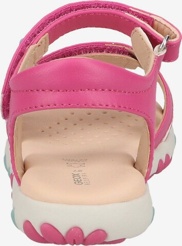 GEOX Sandalen in Pink