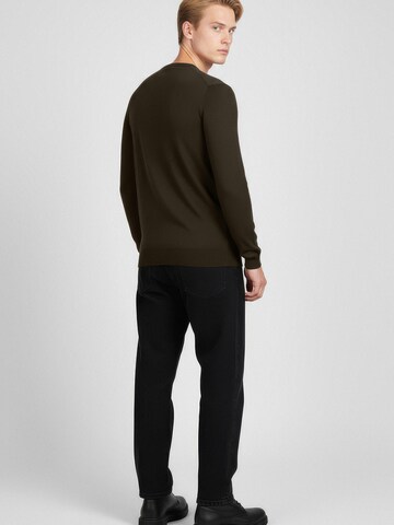 Karl Lagerfeld Pullover in Braun