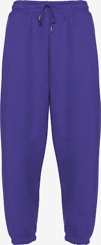 DEF Tapered Pants in Blue: front