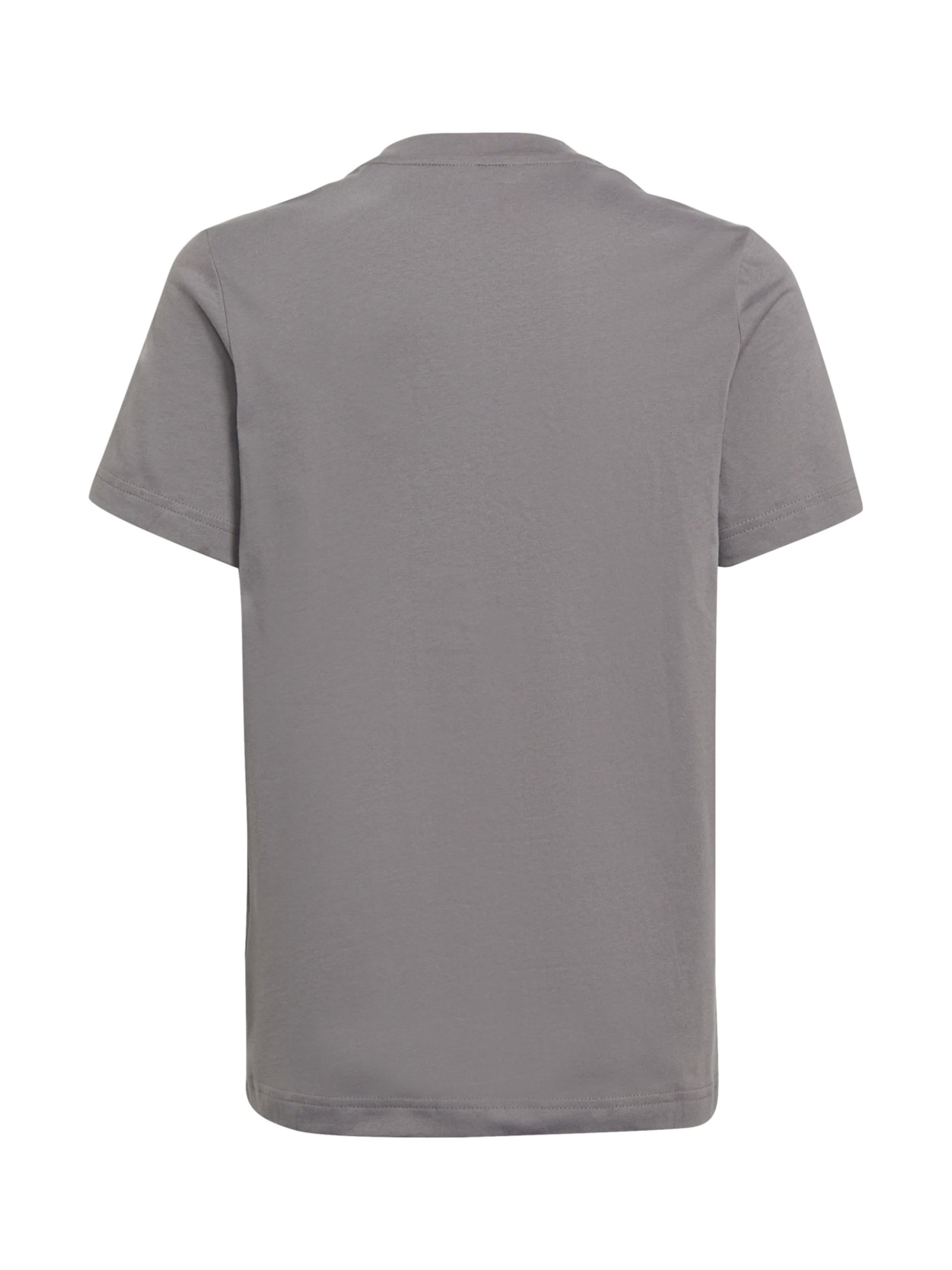 Tricou funcțional 'Entrada 22' de la ADIDAS PERFORMANCE pe gri