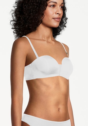 TAMARIS Bralette Bra in White