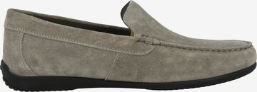 GEOX Moccasins 'Ascanio' in Grey