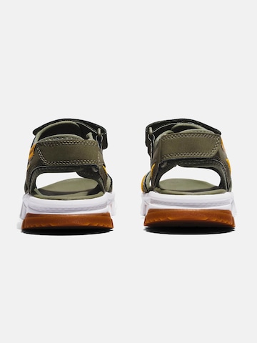 TIMBERLAND Sandals in Green