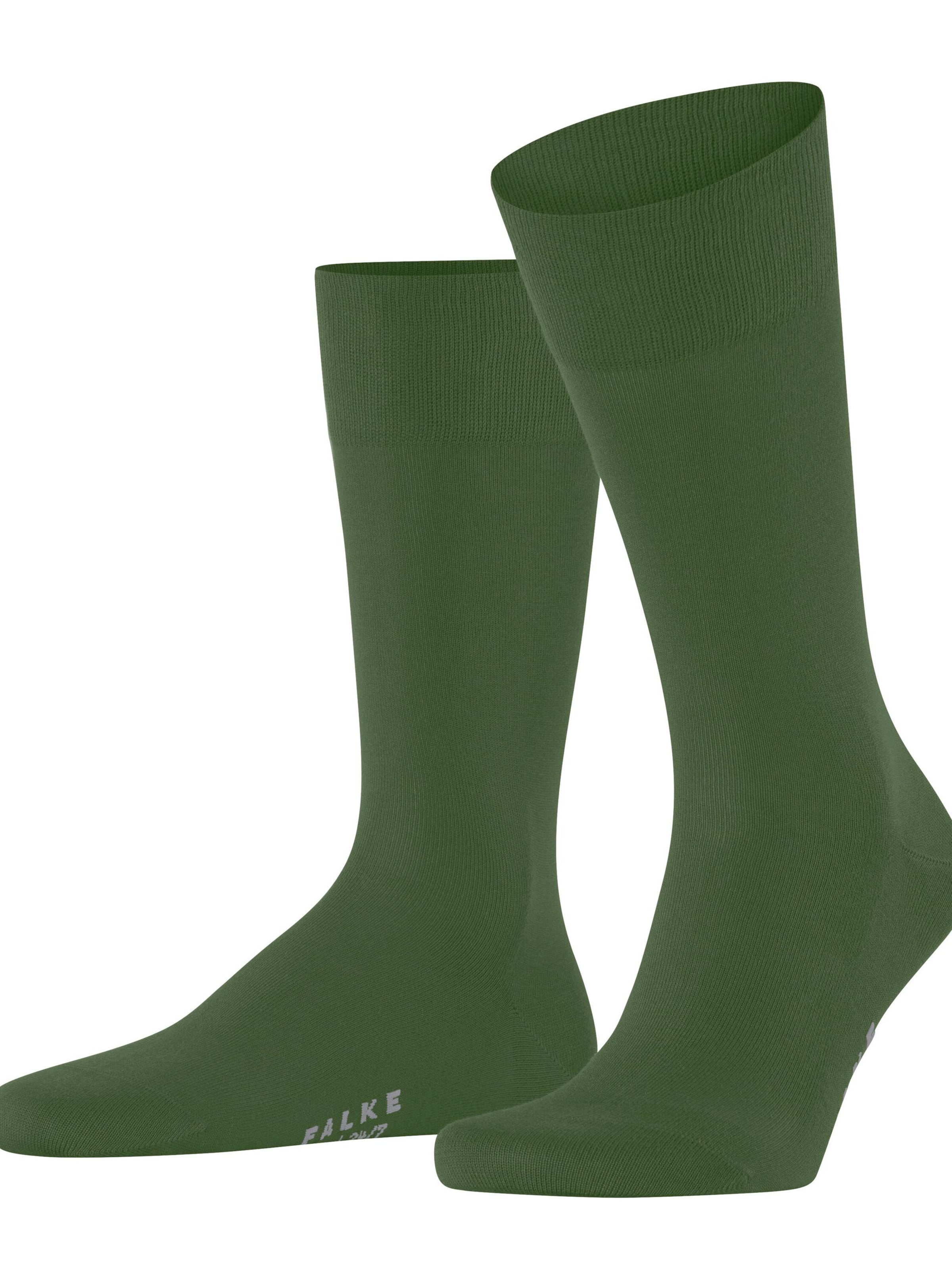 FALKE Socks 'Cool 24/7' in Green: front