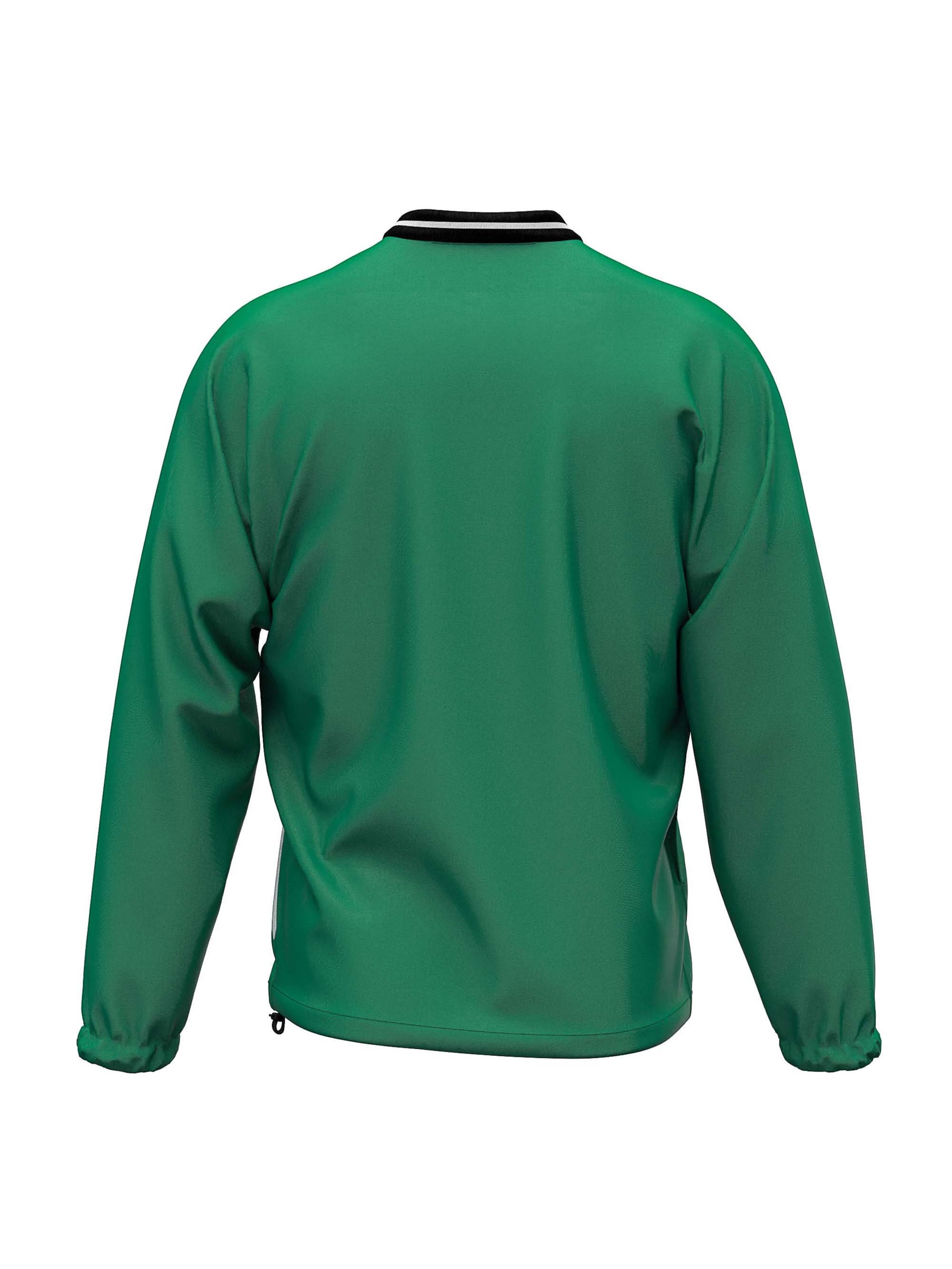 Errea Performance shirt 'OTTAWA 3.0' in Green