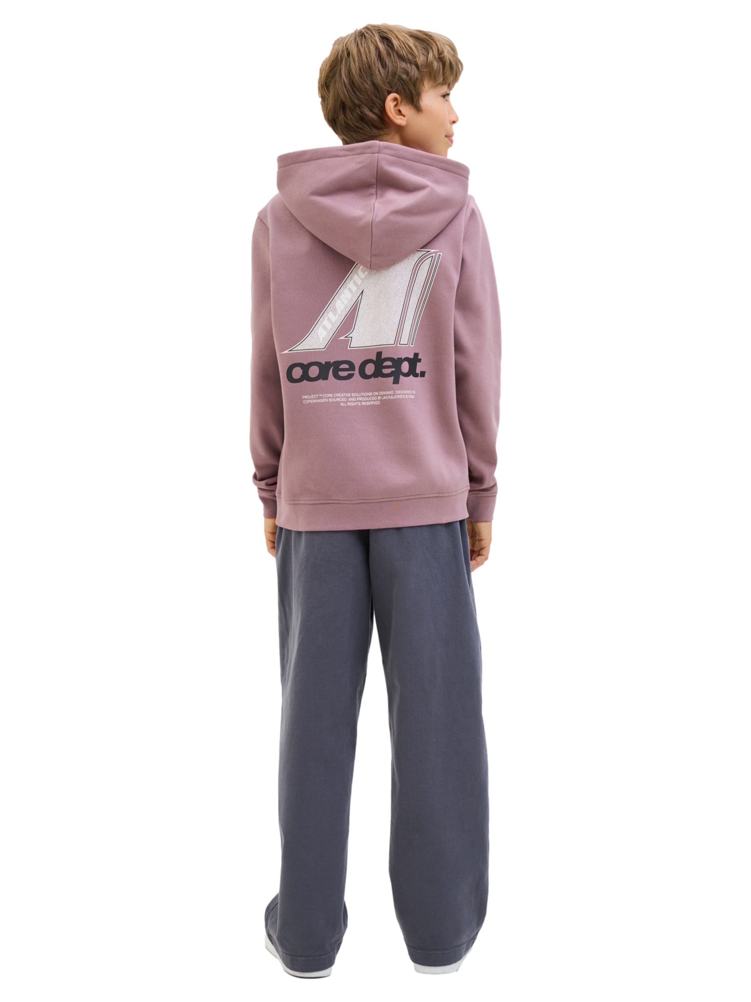 Sweat 'Tier' Jack & Jones Junior en violet