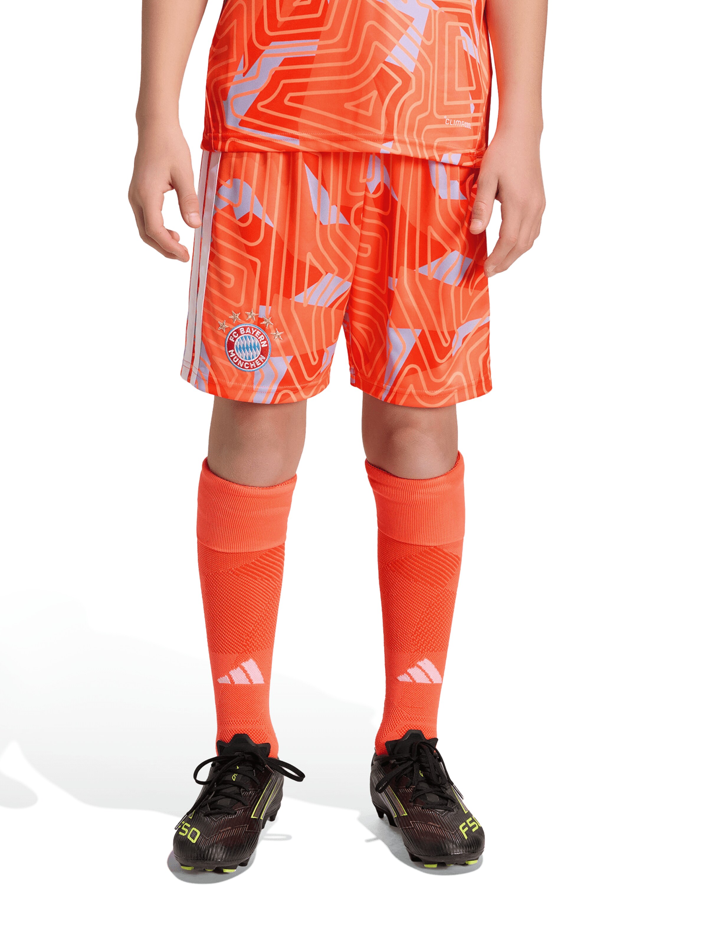 ADIDAS PERFORMANCE Regular Workout Pants in Orange: front