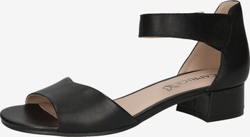 CAPRICE Sandals in Black: front