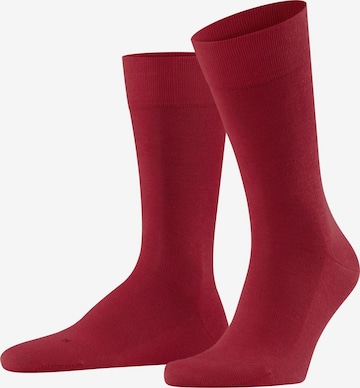 FALKE Socken 'Sensitive London' in Rot: Vorderseite