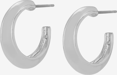 Auskarai iš STEVE MADDEN, spalva – sidabrinė, Prekių apžvalga