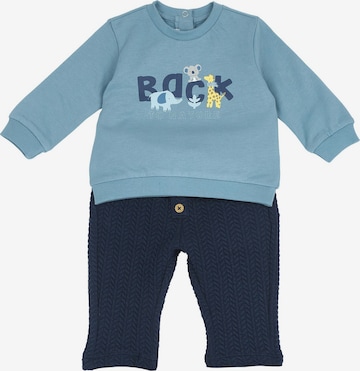 Chicco Setti värissä sininen: etupuoli
