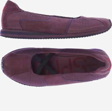 ESPRIT Flats & Loafers in 37 in Pink: front