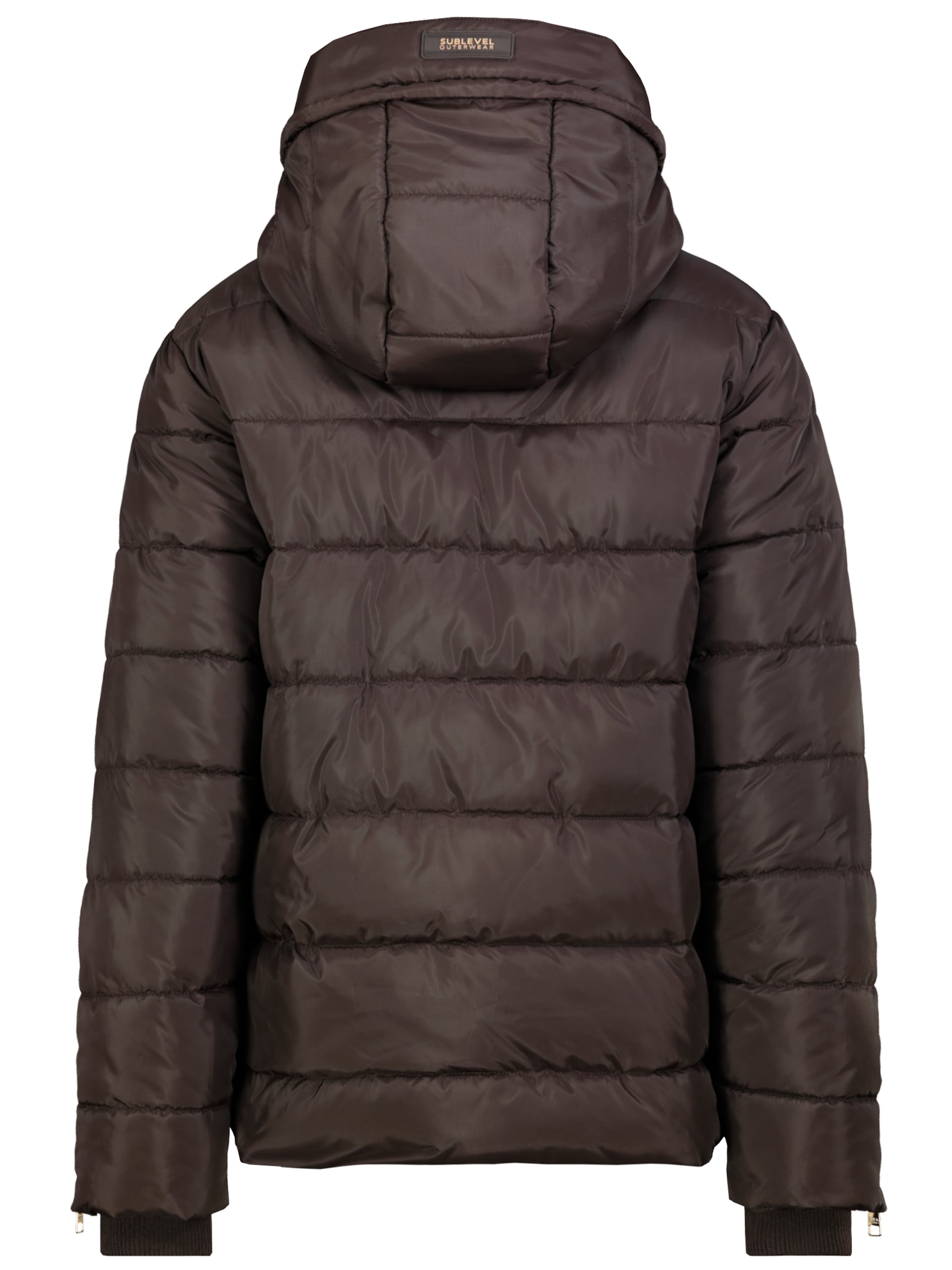 Sublevel Winter Jacket in Brown