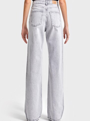 IT'S BASIC Regular Jeans 'EMMA Straight High Rise' in Grijs