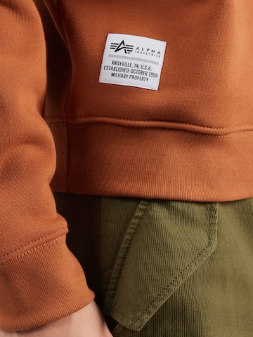 ALPHA INDUSTRIES Суичър в кафяво