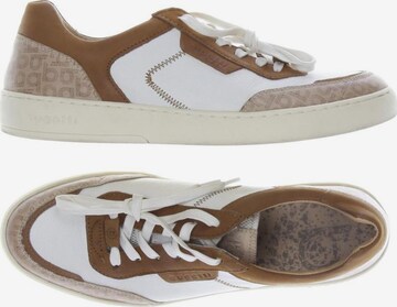 bugatti Sneakers & Trainers in 40 in Brown: front