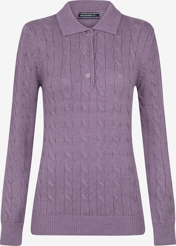 Pull-over Felix Hardy en violet : devant