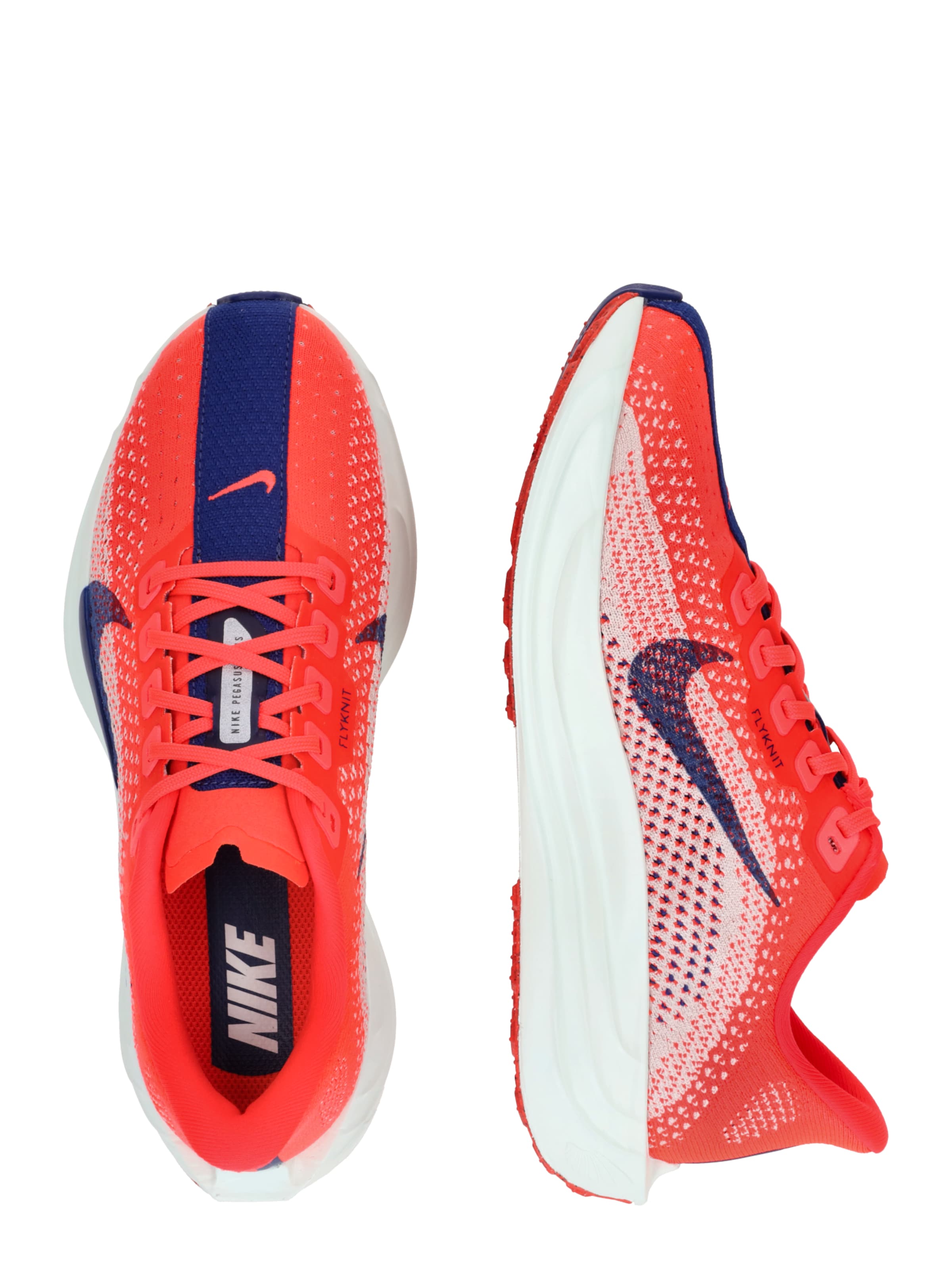 NIKE Running shoe 'Pegasus Plus' in Mixed colours