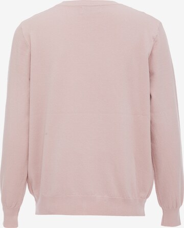 LUREA Pullover in Pink