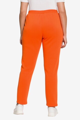 Ulla Popken Regular Hose in Orange