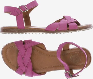 Apple of Eden Sandals & High-Heeled Sandals in 37 in Pink: front