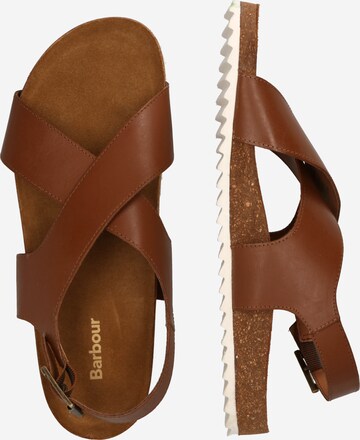 Barbour Sandalen met riem 'Rochelle' in Bruin