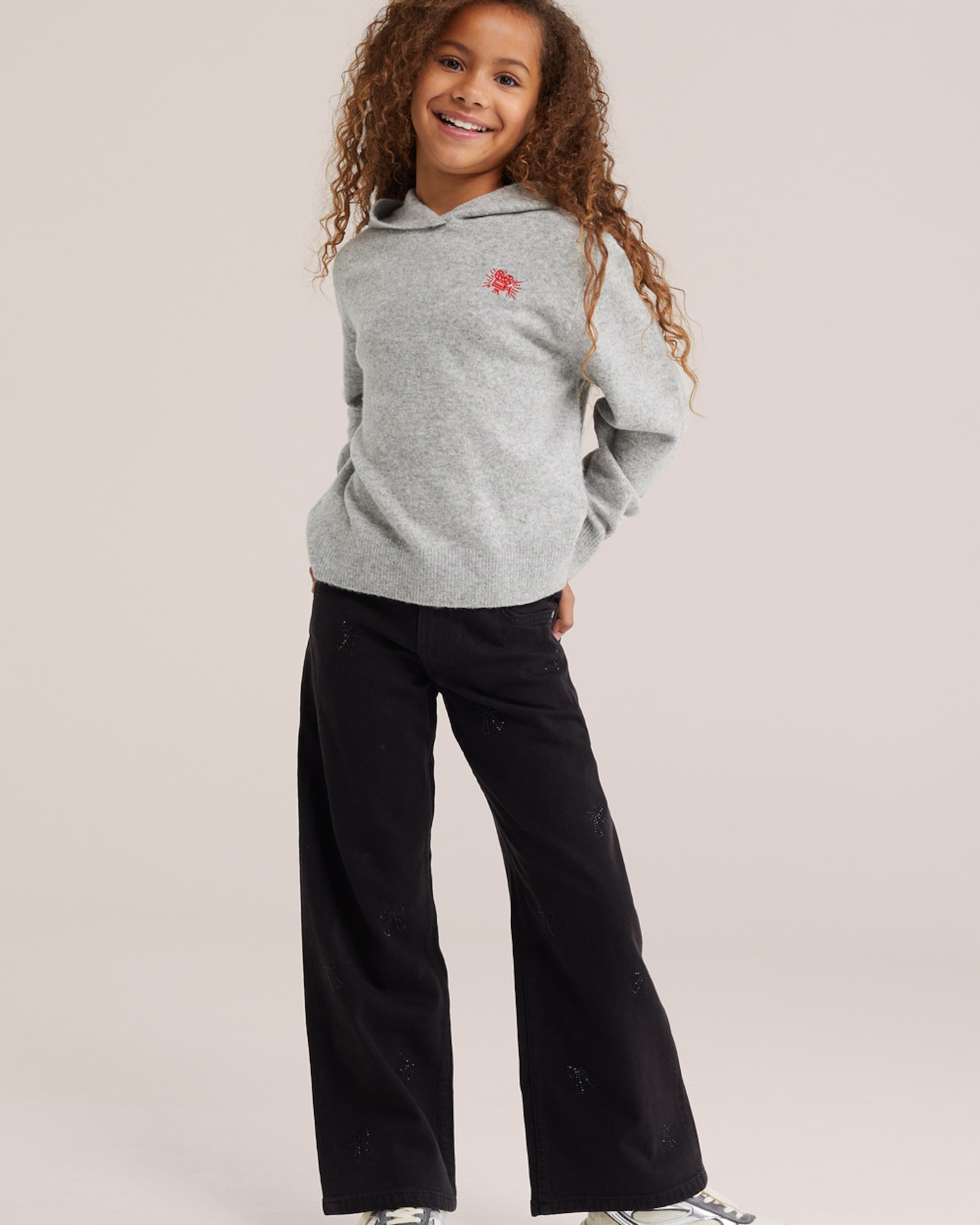 WE Fashion Sweater in Grey
