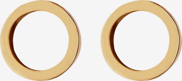 GOOD.designs Earrings in Gold: front