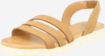 Apple of Eden Strap sandal 'Ivy 10' in Brown: front