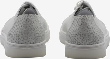DreiMaster Maritim Sneakers in Grey