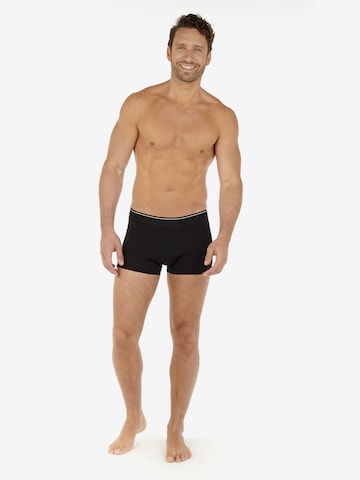 HOM Boxershorts in Mischfarben