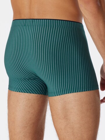 SCHIESSER Regular Boxer shorts in Green